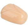 Crazy K&A 2pcs Soft Silicone Glans Sleeve Penis Extender Cock Ring for Male (Nude)