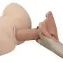Silicone Hollow Strap on Harness strapon Strap on Dildo Anal Dildo for Pegging Thick Dildo Penis Sleeve Extension Extensions for Men Women Unisex Lesbian strapon Strapless Anal strapon Sex Toy Silicone Hollow Strap on Harness strapon Strap on Dildo Anal Dildo for Pegging Thick Dildo Penis Sleeve Extension Extensions for Men Women Unisex Lesbian strapon Strapless Anal strapon Sex Toy