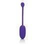 CalExotics Rechargeable Kegel Ball - Vibrating Ben Wa Ball Weight - Pelvic Floor Exercises - Adult Sex Toys for Couples - Starter - Purple