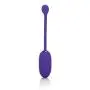 CalExotics Rechargeable Kegel Ball - Vibrating Ben Wa Ball Weight - Pelvic Floor Exercises - Adult Sex Toys for Couples - Starter - Purple