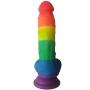 Didlo Long 8 Inch Realistic Lifelike Flesh Huge Tools for Women Silicone Tools with Suction Cup-Rainbow Color-jixubupagua