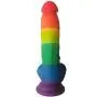 Didlo Long 8 Inch Realistic Lifelike Flesh Huge Tools for Women Silicone Tools with Suction Cup-Rainbow Color-jixubupagua Didlo Long 8 Inch Realistic Lifelike Flesh Huge Tools for Women Silicone Tools with Suction Cup-Rainbow Color-jixubupagua