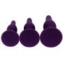 Eastern Delights Luxury Silicone Anal Trainer Butt Plug, Excellent Anal Sex Toy for Beginner, Purple Kit