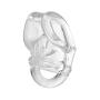 Master Series Annex Clear Super Stretchy Enhancer