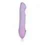 Dr. Laura Berman Intimate Basics Charlotte - Waterproof Silicone Vibrator - Adult Toys for Couples - Purple