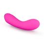 Blush Novelties Aria Magnify Vibe, Fuchsia, 1 Count