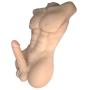 Mens Torso Penis Dolls Safe & Durable Medical Grade Silicone Solidity Dolls Female Masturbation Toys Lifelike Mens Torso 7.1 Inch Penis Sex Toys Sex Doll for Women-Gay(Flesh Male, 20.8 x 13 x 6)