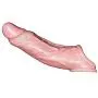 Couple Membrum Penis Case Cover Dick Overstriking Erection Ipsism Sexual Intrest Stick Wand Fun Rod Sleeve Skin Color Couple Membrum Penis Case Cover Dick Overstriking Erection Ipsism Sexual Intrest Stick Wand Fun Rod Sleeve Skin Color