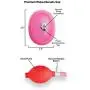Size Matters Vaginal Pump with 5" Large Cup