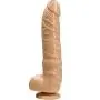 Star Performer - Scene Stealer 12 inch Star Performer - Scene Stealer 12 inch