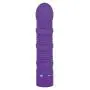 NS Novelties Powerplay Maxxx Power Vibe, Purple