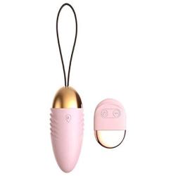 Wireless Remote Control Vibrantor 10 Frequency Women Adult Six Toy