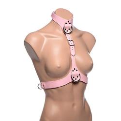 Frisky Miss Behaved Pink Chest Harness