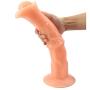 FEIXIAB0B 13.78in Safe Soft Materials Small Simulation Realistic Small Lifelike Massage G Anall Long Toys for Women Men Begain DîD&lő Stick with Suction Good Pleasure Tool Flesh