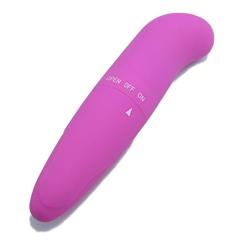 G-Spot Vibrator; Dolphin Style G-Spot Vibrator for Internal and Clitoral Stimulation