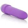 CalExotics 7-Function Classic Chic Mini Vibrator - Waterproof Sex Toys for Couples - Adult Vibe G Spot Massager - Purple