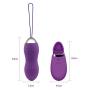 Kegel Balls for Tightening -Doctor Recommended Ben Wa Balls for Women Bladder Control & Pelvic Floor Kegel Exercises for Beginners - Kegel Weights, Purple,ALKAID …