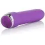 CalExotics 7-Function Classic Chic Mini Vibrator - Waterproof Sex Toys for Couples - Adult Vibe G Spot Massager - Purple