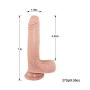 7 inch Realistic Silicone Dildo for Beginner, Ultra Soft Dildo Women with Strong Suction Cup, Lifelike Penis for Hands-Free, with Balls for Vaginal G-spot and Anal Play