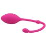 Waterproof Vibrators Ultimate Kegel Vagina & Anal Trainer Ball Unisex Silicone Waterproof Body Massager Ben Wa Toys Adult Product Geisha Ball,as Picture NC