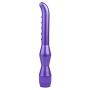 RITER Multispeed Vibrantor G Spotter Massager Vibe Personal Stimulator Six Toys Adullt for Women Couples Purple