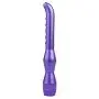 RITER Multispeed Vibrantor G Spotter Massager Vibe Personal Stimulator Six Toys Adullt for Women Couples Purple