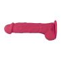 Naughty Cock Silicone Dildo - Realistic, Suction Cup - Sex Toy for Beginners, Vaginal, Anal, and G-Spot - 6.5 Inch (Pink)