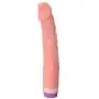 Dildos G Spot Vagina Stimulation Anal Play, Realistic Dildo Sex Toys for Women Couple Dildos G Spot Vagina Stimulation Anal Play, Realistic Dildo Sex Toys for Women Couple