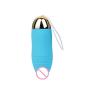 Knowwest 10 Frequency Waterproof Wireless Remote Control Massager Massager Six Toys