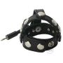 Zeus Electrosex Radian Erection Harness Zeus Electrosex Radian Erection Harness