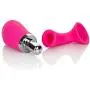 Calexotics SE-0625-20-3 Intimate Climaxer Pump Female Clitoral Sexual Enhancement Personal Massager Adult Sex Vibrator for Couples, Pink Calexotics SE-0625-20-3 Intimate Climaxer Pump Female Clitoral Sexual Enhancement Personal Massager Adult Sex Vibrator for Couples, Pink