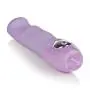 Dr. Laura Berman Intimate Basics Charlotte - Waterproof Silicone Vibrator - Adult Toys for Couples - Purple