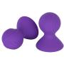 renvena Female Nipple Sucker Womens Silicone Breast Pump Couple Funny Nipples Massage