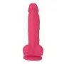 Naughty Cock Silicone Dildo - Realistic, Suction Cup - Sex Toy for Beginners, Vaginal, Anal, and G-Spot - 6.5 Inch (Pink) Naughty Cock Silicone Dildo - Realistic, Suction Cup - Sex Toy for Beginners, Vaginal, Anal, and G-Spot - 6.5 Inch (Pink)