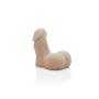 Mr. Limpy by Fleshlight | Flaccid Bulge Stuffer | Extra Small Penis | Flesh Color