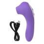 JINZHI Sucking Massage for Women - USB Rechargeable - 20 Speeds Vibrating - 10 Speeds Sucking