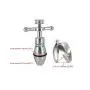 Metal Anal Plug, Adjustable Size, Anal Dilator, Buttplug Dilos Sex Toys for Men and Women, Torture/Fetish/Restraints/Slave/BDSM/SM,A Metal Anal Plug, Adjustable Size, Anal Dilator, Buttplug Dilos Sex Toys for Men and Women, Torture/Fetish/Restraints/Slave/BDSM/SM,A