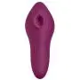 Cloud 9 Novelties Air Touch Iii Hand Held Clitoral & Nipple Stimulator, Plum, 1 Ounce Cloud 9 Novelties Air Touch Iii Hand Held Clitoral & Nipple Stimulator, Plum, 1 Ounce