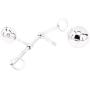Eastern Delights Female Anal Vagina Double Ball Plug in Steel Chastity Belt Hook Bondage