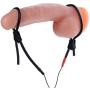 Zeus Electrosex Vigor II Cock and Ball Ties and Frenum Electro Stimulator