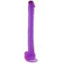 Winzfred 16 inch Realistic Dilo with Hands-Free Play Flexible Pennis Long Six Toysfor Women Men