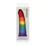 Pride Dildo - The 8" Silicone Rainbow Dildo With Suction Cup Pride Dildo - The 8" Silicone Rainbow Dildo With Suction Cup