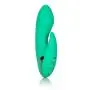Calexotics California Dreaming Sierra Sensation Calexotics California Dreaming Sierra Sensation