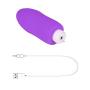 Sex Toy for Women,PPW Vibrating Egg with Remote Control,Powerful Vibrator for Clitoris Stimulation,10 Vibrations,Silicone,Waterproof Adult Toy Purple (Purple-1)