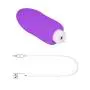 Sex Toy for Women,PPW Vibrating Egg with Remote Control,Powerful Vibrator for Clitoris Stimulation,10 Vibrations,Silicone,Waterproof Adult Toy Purple (Purple-1) Sex Toy for Women,PPW Vibrating Egg with Remote Control,Powerful Vibrator for Clitoris Stimulation,10 Vibrations,Silicone,Waterproof Adult Toy Purple (Purple-1)
