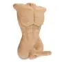 Male Body Realistic Lifelike Frontal Love Doll with Tight Anal Entry Male Body Realistic Lifelike Frontal Love Doll with Tight Anal Entry