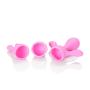 CalExotics Inspire Massager Kit - Body Wand Vibrator & Silicone Attachment Set for Couples – Adult Sex Personal Massager - Pink