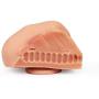 Topco TLC Bree Olson CyberSkin Vibrating Suction-Base Pussy and Ass