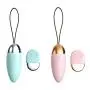 RITER Wireless Remote Control Vibranting Female Masturabation Device Men 10 Frequency Vibrantion Invisible Women Adullt Products Sex RITER Wireless Remote Control Vibranting Female Masturabation Device Men 10 Frequency Vibrantion Invisible Women Adullt Products Sex
