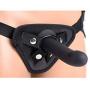 Master Series Mistress Femdom Pegging Kit